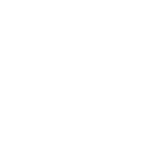 L'Artisant du feu